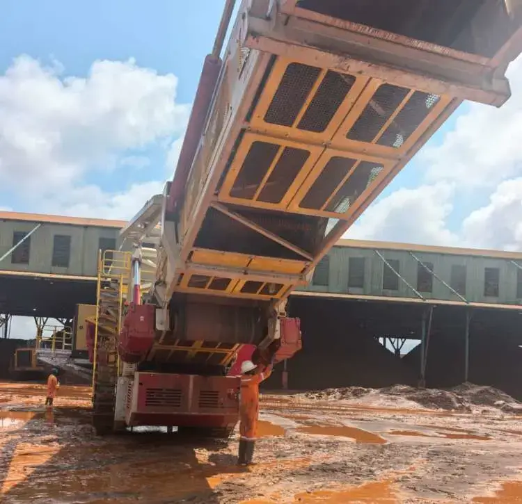 zoomry hopper feeder.webp